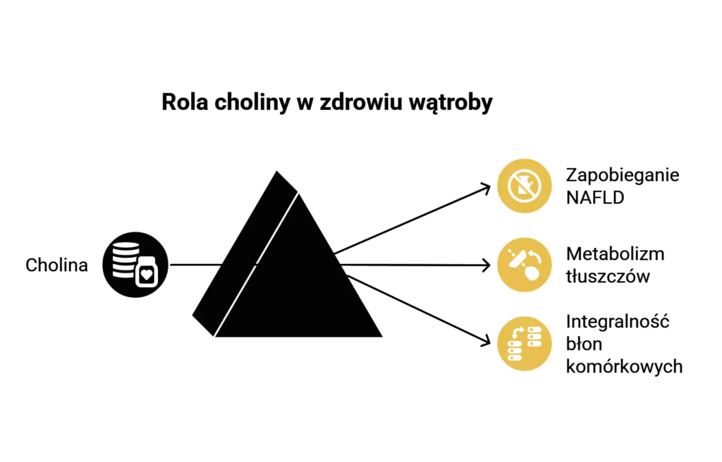 Rola choliny w zdrowiu wątroby 