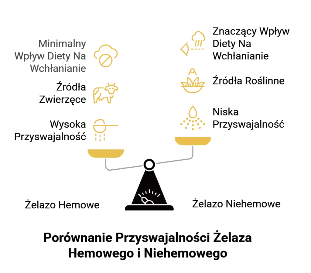 Porównanie przyswajalności żelaza hemowego i niehemowego