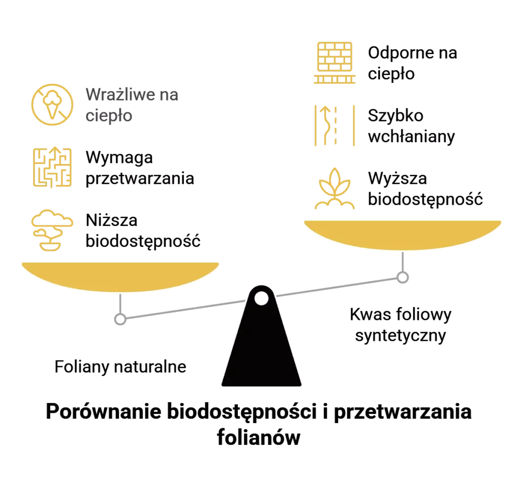 Porównanie biodostępności folianów w organizmie
