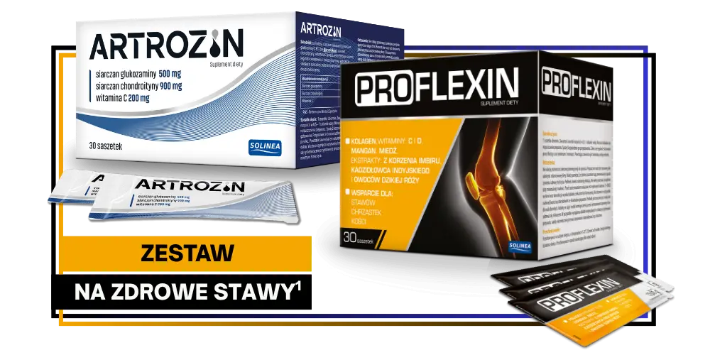 Artrozin + Proflexin