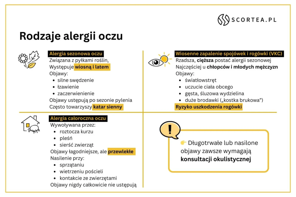 Porównanie alergii sezonowej i całorocznej oczu – objawy, przyczyny i różnice.