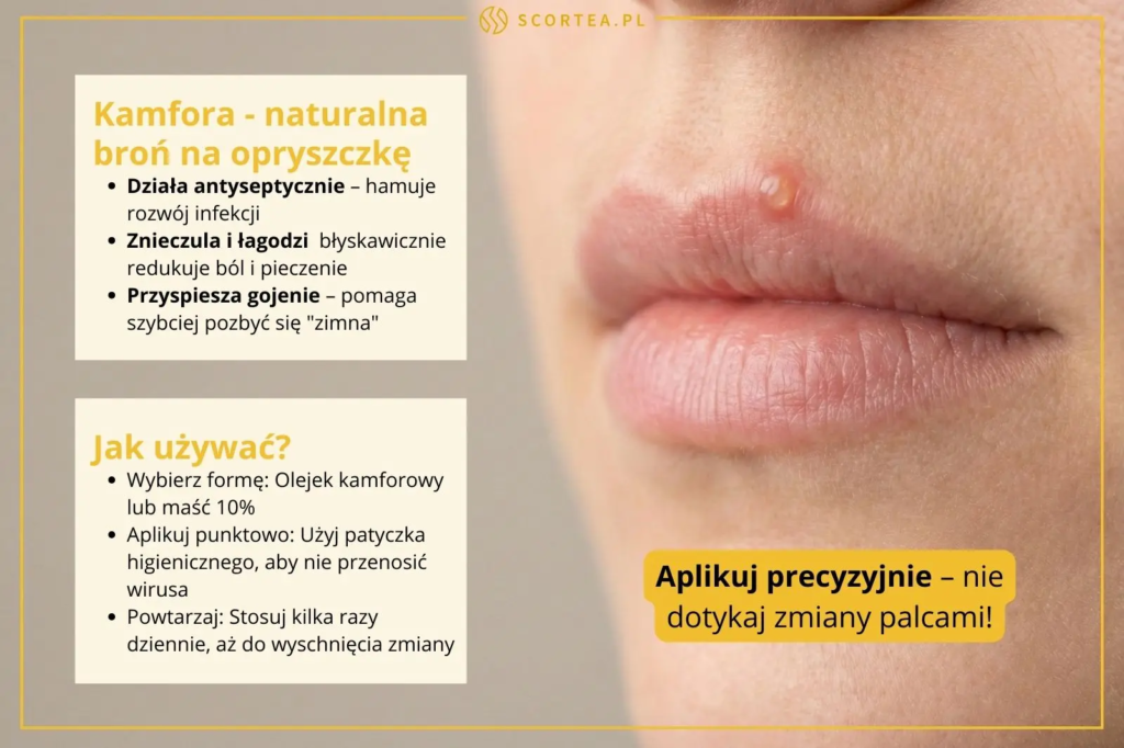 Zbliżenie na usta z opryszczką oraz infografika o antyseptycznym działaniu kamfory, która łagodzi ból, pieczenie i przyspiesza gojenie "zimna".
