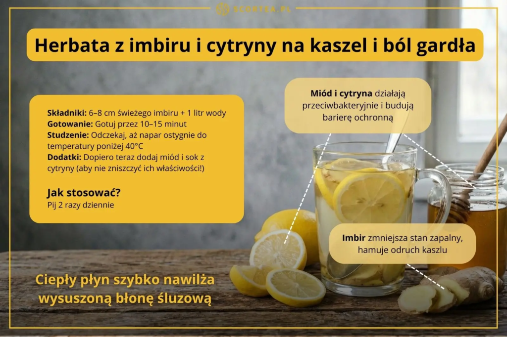 Infografika z przepisem na herbatę z imbiru i cytryny na ból gardła. Obok szklanki z naparem widoczny świeży imbir, plasterki cytryny oraz słoik miodu.