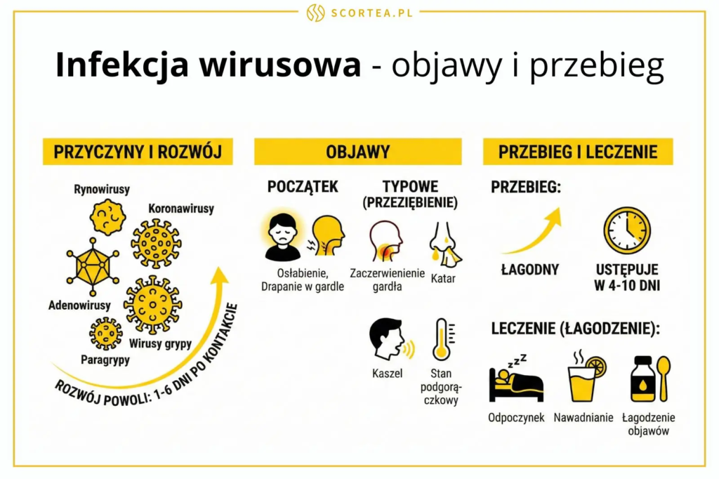 Infografika o infekcji wirusowej przedstawiająca przyczyny (np. rynowirusy), objawy (katar, kaszel, ból gardła) oraz metody łagodzenia, jak odpoczynek.