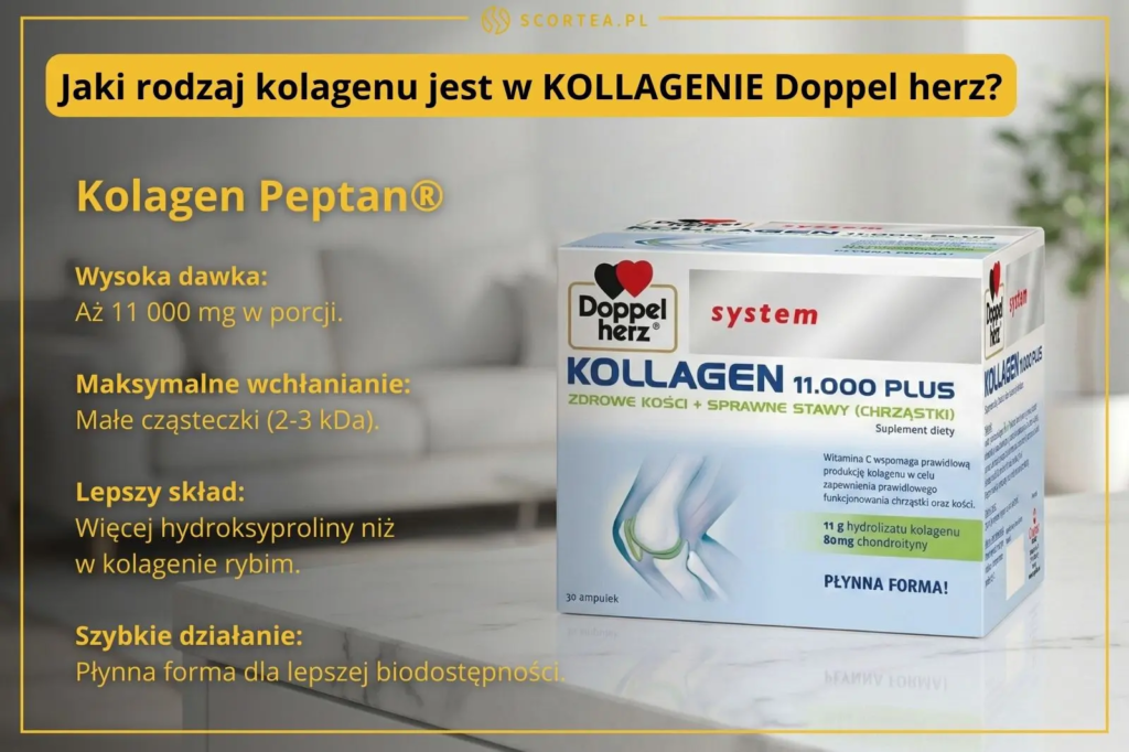 Opakowanie suplementu Kollagen 11.000 Plus Doppelherz System obok tekstu o zaletach kolagenu Peptan, wysokiej dawce 11g i płynnej formie ampułek.