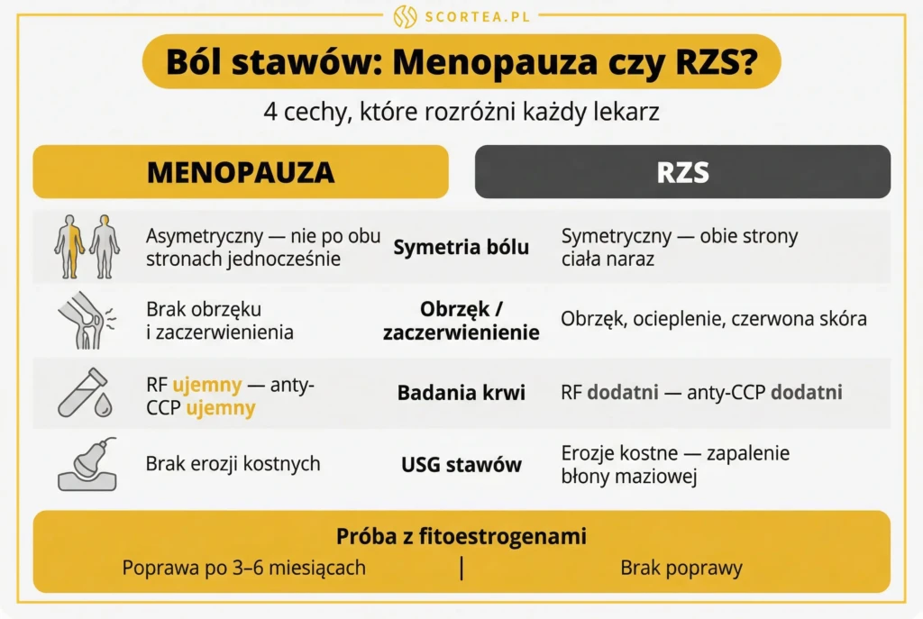 Tabela porównawcza bólu stawów w menopauzie i RZS: symetria bólu, obrzęk, badania krwi RF i anty-CCP oraz wynik USG stawów.