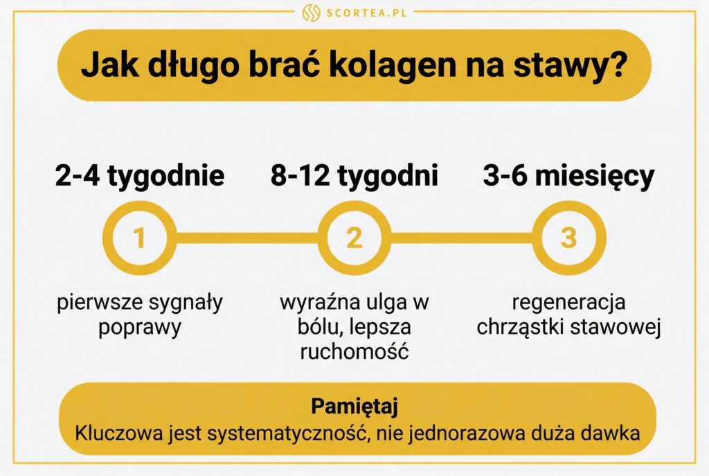 Kiedy widać efekty kolagenu na stawy — timeline: 2-4 tygodnie, 8-12 tygodni, 3-6 miesięcy

