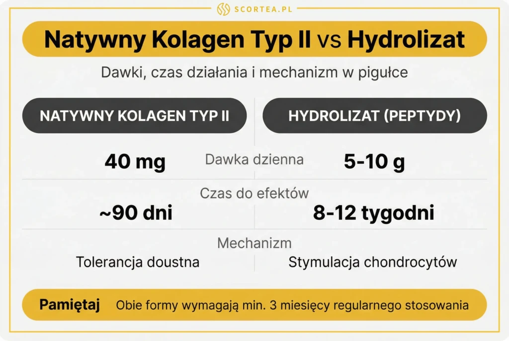 Porównanie natywnego kolagenu typ II (40 mg) i hydrolizatu (5-10 g) dawki, czas działania i mechanizm
