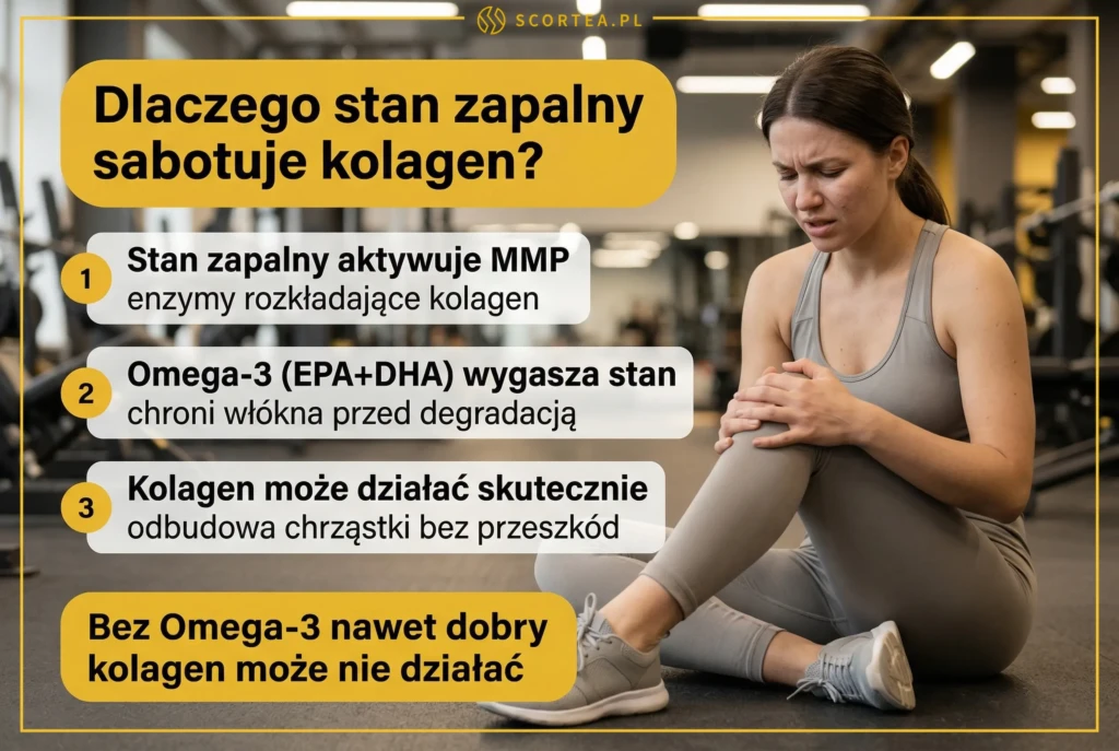 Jak stan zapalny sabotuje kolagen na stawy i dlaczego Omega-3 (EPA+DHA) jest kluczowa dla skuteczności suplementacji