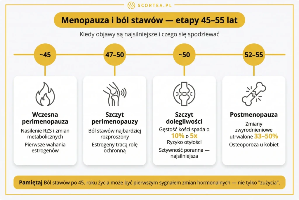 Oś czasu menopauzy a ból stawów — cztery etapy od 45 do 55 lat z kluczowymi liczbami: 10% utraty kości, ryzyko 5x i zmiany u 33–50% kobiet.