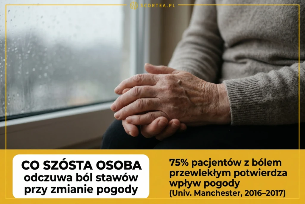 Dłonie przy deszczowym oknie + statystyki w żółtym pasie