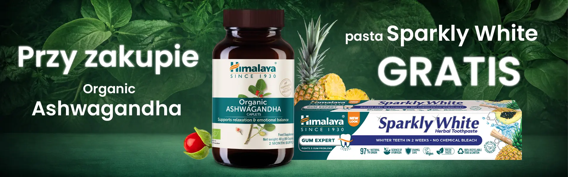 Himalaya banner desktop