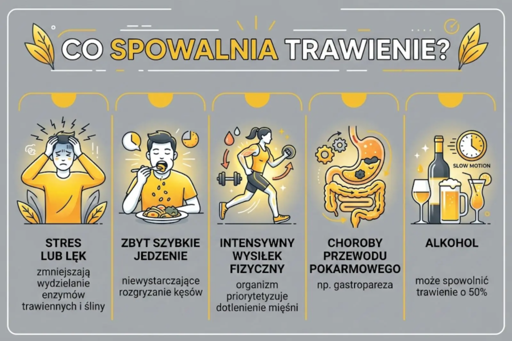 Infografika o przyczynach spowolnionego trawienia: stres, szybkie jedzenie, intensywny sport, choroby (gastropareza) i wpływ alkoholu na żołądek.