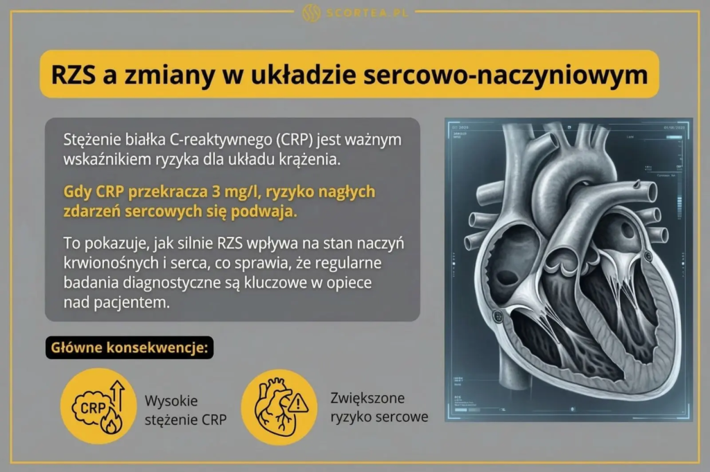 Infografika o wpływie RZS na serce. Wykres i tekst wskazują, że stężenie CRP powyżej 3 mg/l podwaja ryzyko nagłych zdarzeń sercowych.