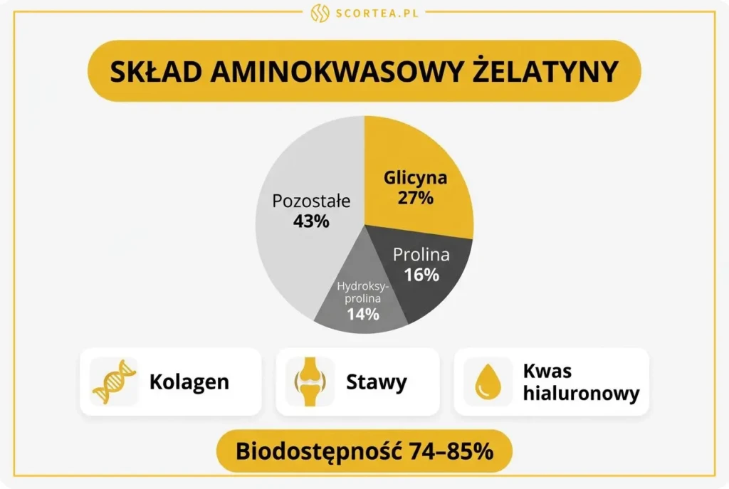 Infografika ze składem aminokwasowym żelatyny: glicyna 27%, prolina 16%, hydroksyprolina 14% oraz biodostępność 74-85%.