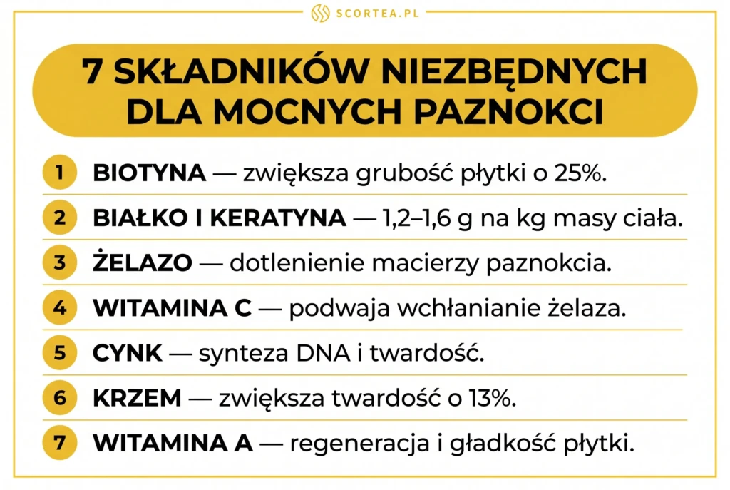 Infografika: 7 składników niezbędnych dla mocnych paznokci - biotyna, białko i keratyna, żelazo, witamina C, cynk, krzem, witamina A z kluczowymi faktami