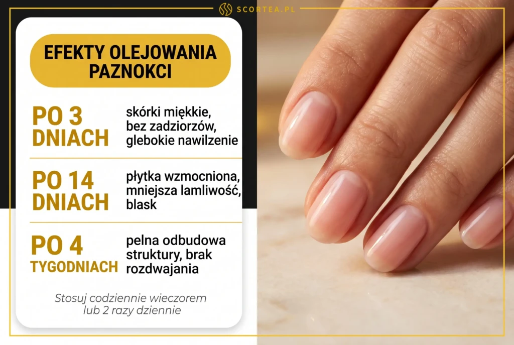 Infografika: efekty olejowania paznokci – timeline: po 3 dniach miękkie skórki, po 14 dniach wzmocniona płytka i blask, po 4 tygodniach pełna odbudowa i brak rozdwajania