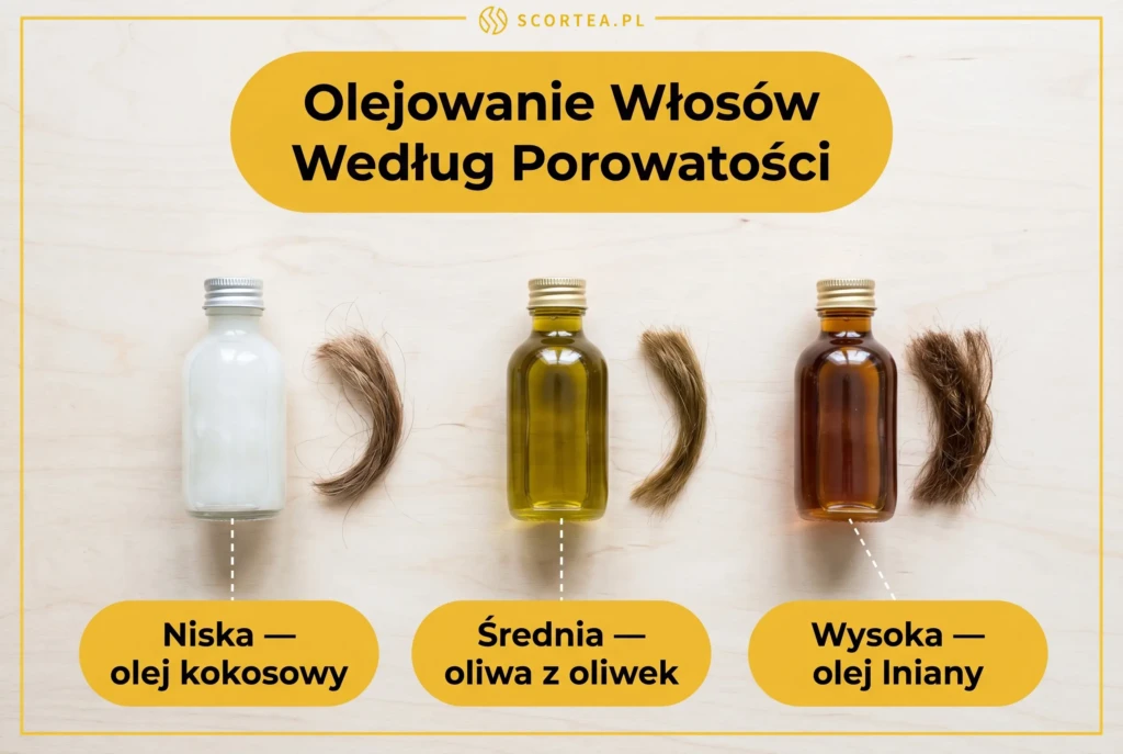 Infografika olejowanie włosów według porowatości – trzy butelki olejów z pasmami włosów: olej kokosowy dla niskiej, oliwa z oliwek dla średniej, olej lniany dla wysokiej porowatości