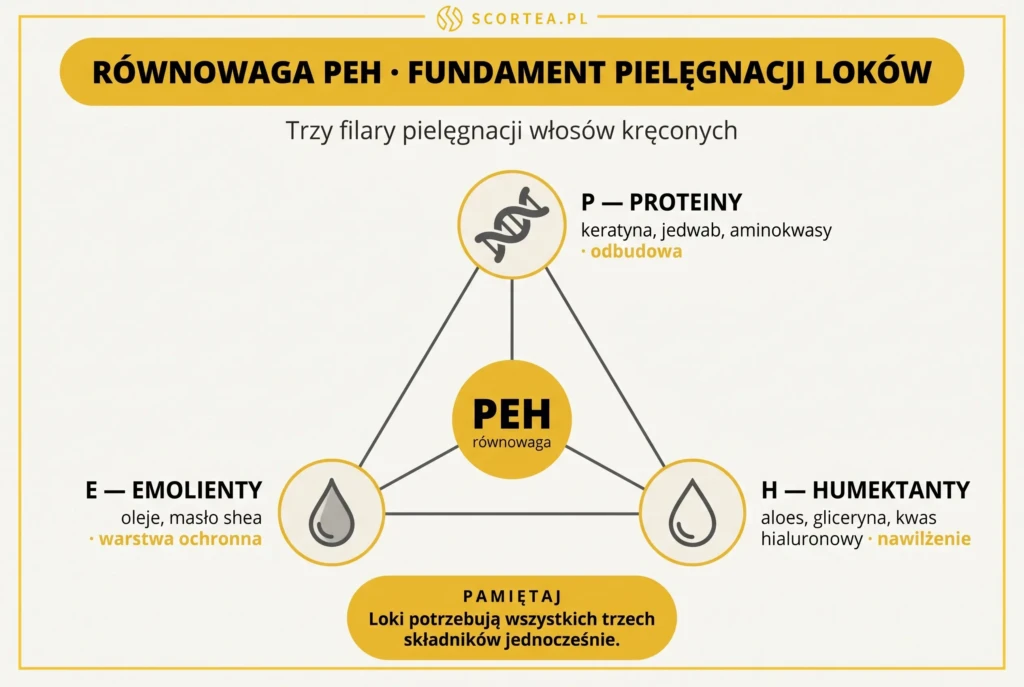 Infografika trójkąta równowagi PEH — trzy filary pielęgnacji włosów kręconych: proteiny (odbudowa), emolienty (warstwa ochronna), humektanty (nawilżenie).