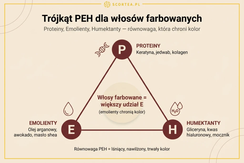 Schemat trójkąta PEH dla włosów farbowanych: proteiny, emolienty i humektanty w równowadze, ze wskazaniem zwiększonego udziału emolientów po koloryzacji.