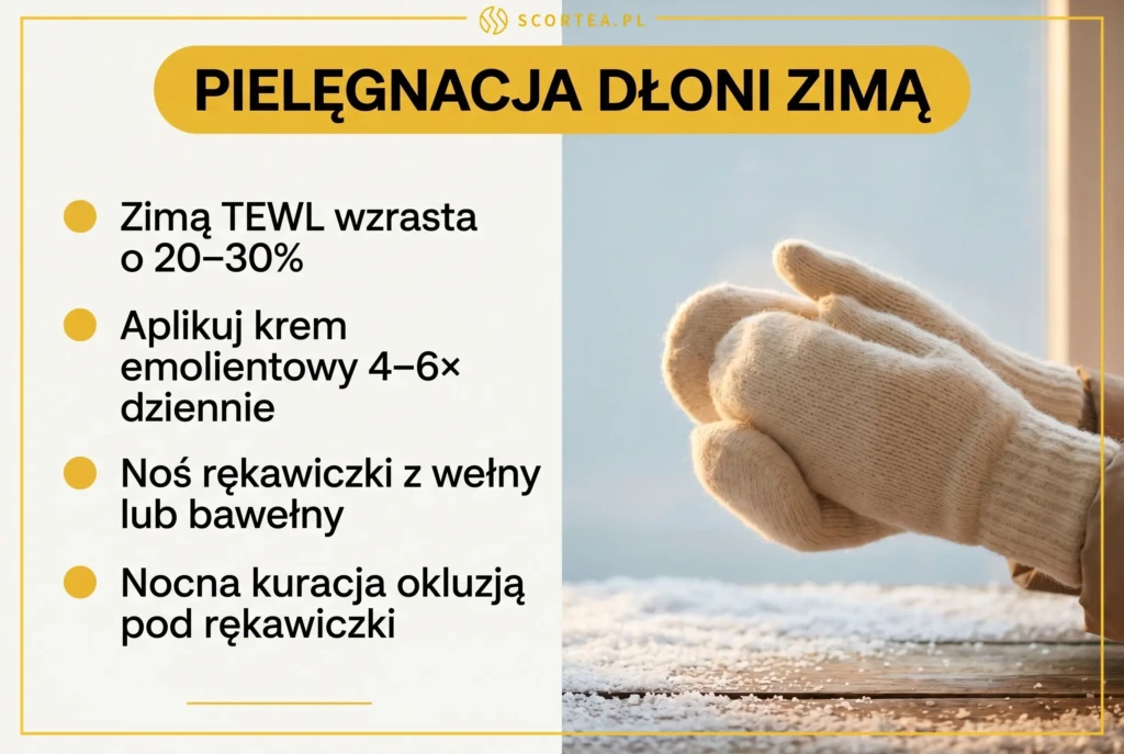 Infografika Scortea o pielęgnacji dłoni zimą: 4 wskazówki ochrony przed mrozem i dłonie w wełnianych rękawiczkach.