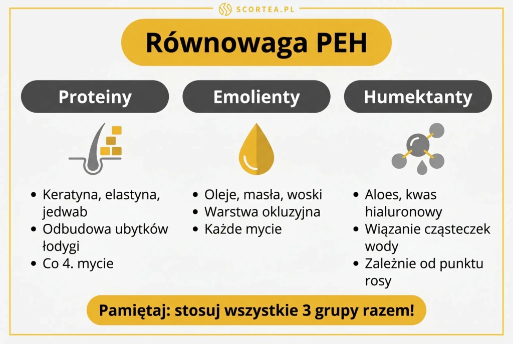 Infografika równowaga PEH w pielęgnacji włosów – trzy kolumny: proteiny (keratyna, elastyna, co 4. mycie), emolienty (oleje, masła, każde mycie), humektanty (aloes, kwas hialuronowy, zależnie od punktu rosy)