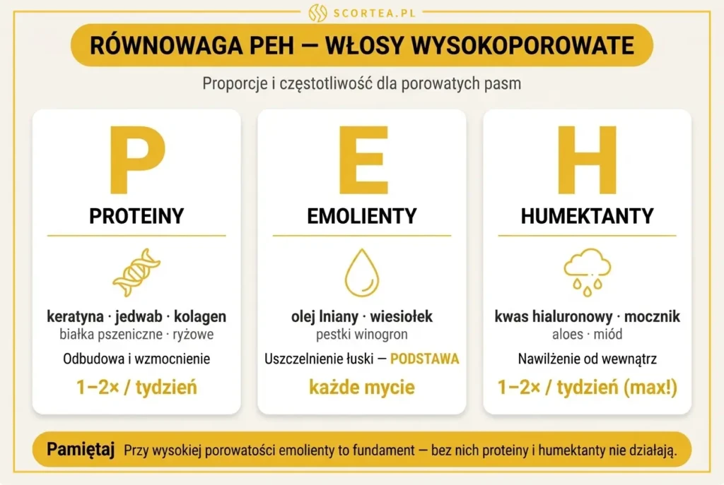 Infografika Scortea: równowaga PEH dla włosów wysokoporowatych — proteiny, emolienty i humektanty z częstotliwością stosowania.