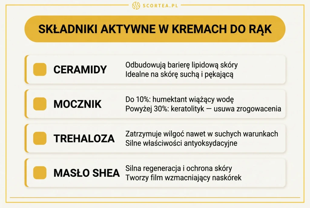 Infografika porównująca 4 składniki aktywne w kremach do rąk: ceramidy, mocznik, trehaloze i masło shea.