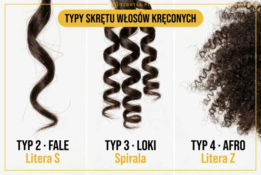 Porównanie trzech typów skrętu włosów kręconych — makrofotografia pasm: Typ 2 fale w kształcie litery S, Typ 3 spiralne loki, Typ 4 afro w literę Z.