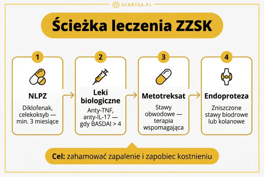 Ścieżka leczenia ZZSK w czterech krokach: NLPZ, leki biologiczne anty-TNF, metotreksat i endoproteza stawów