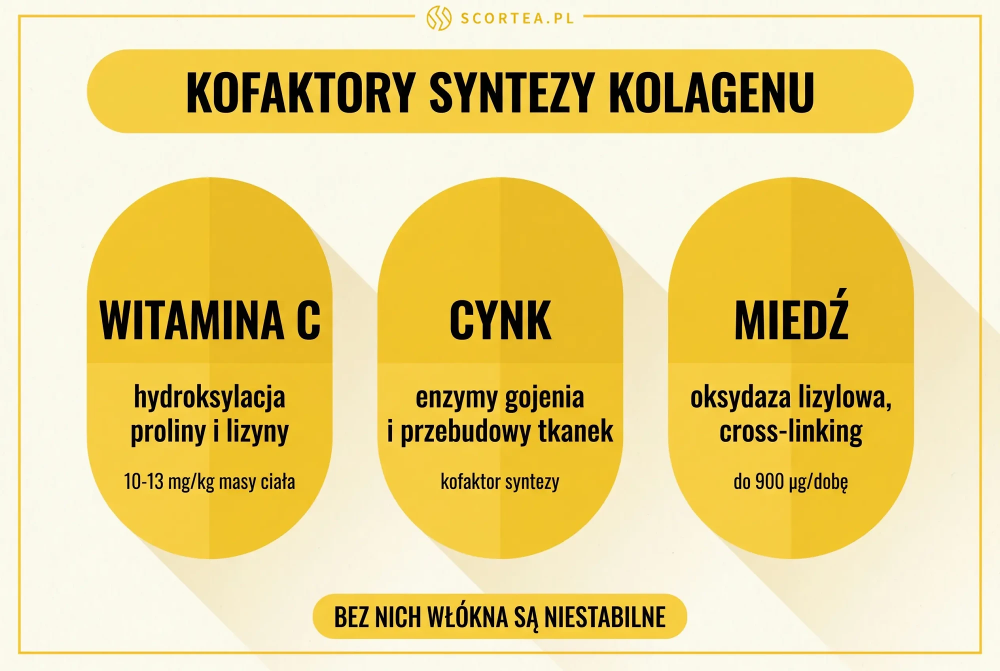 Kofaktory syntezy kolagenu — witamina C, cynk i miedź jako niezbędne mikroskładniki dla hydroksylacji i cross-linkingu włókien kolagenowych — infografika Scortea