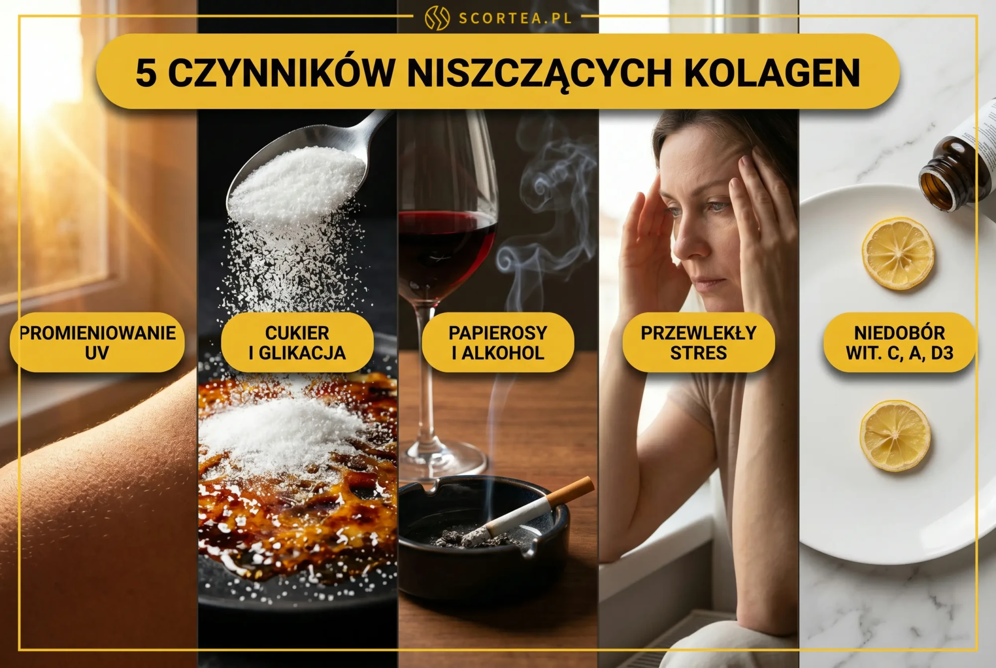 5 czynników niszczących kolagen w organizmie — promieniowanie UV, cukier i glikacja, papierosy i alkohol, przewlekły stres, niedobór witamin C, A i D3 — infografika Scortea
