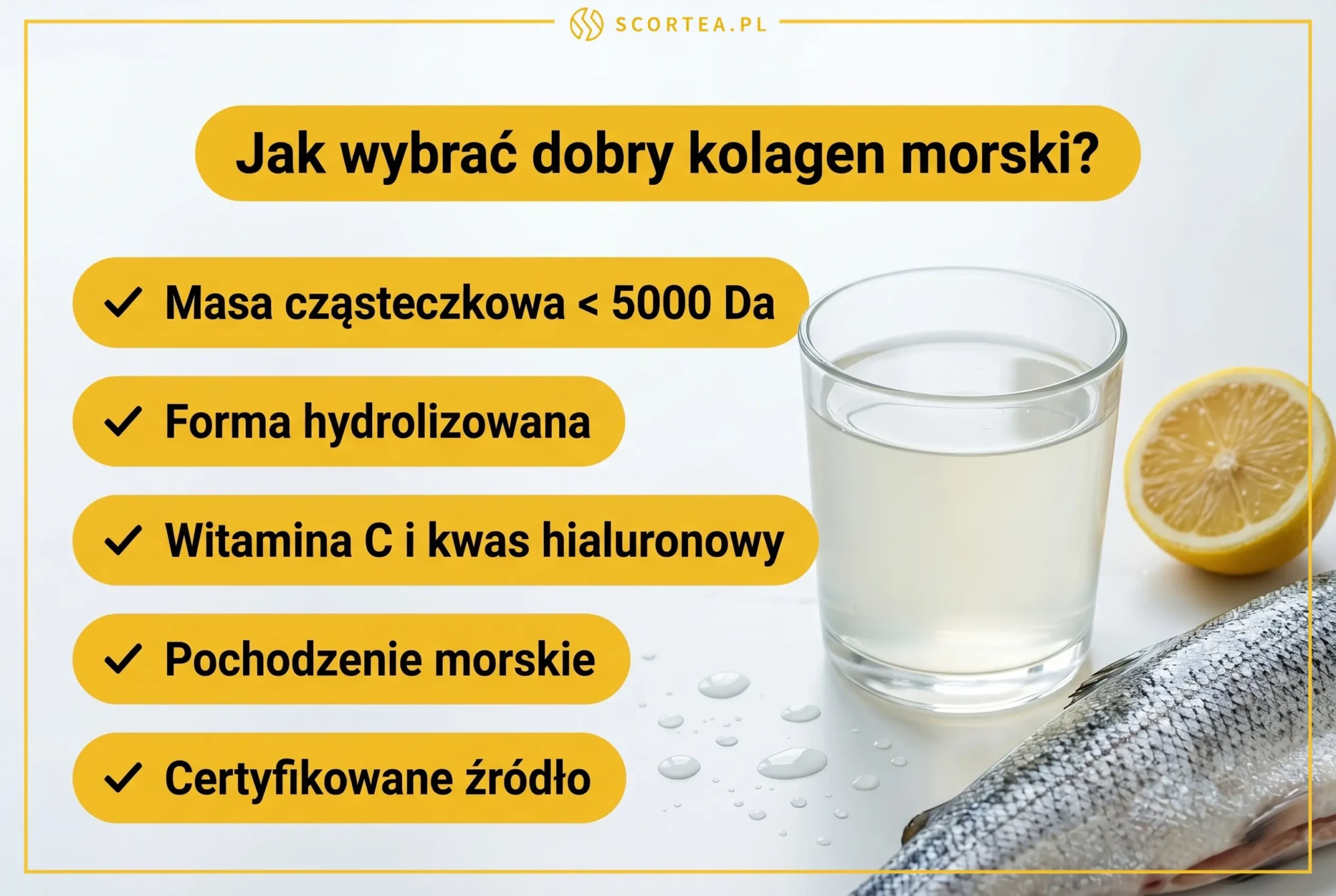 Infografika: 5 cech dobrego kolagenu morskiego – masa poniżej 5000 Da, forma hydrolizowana, witamina C i kwas hialuronowy, pochodzenie morskie, certyfikowane źródło