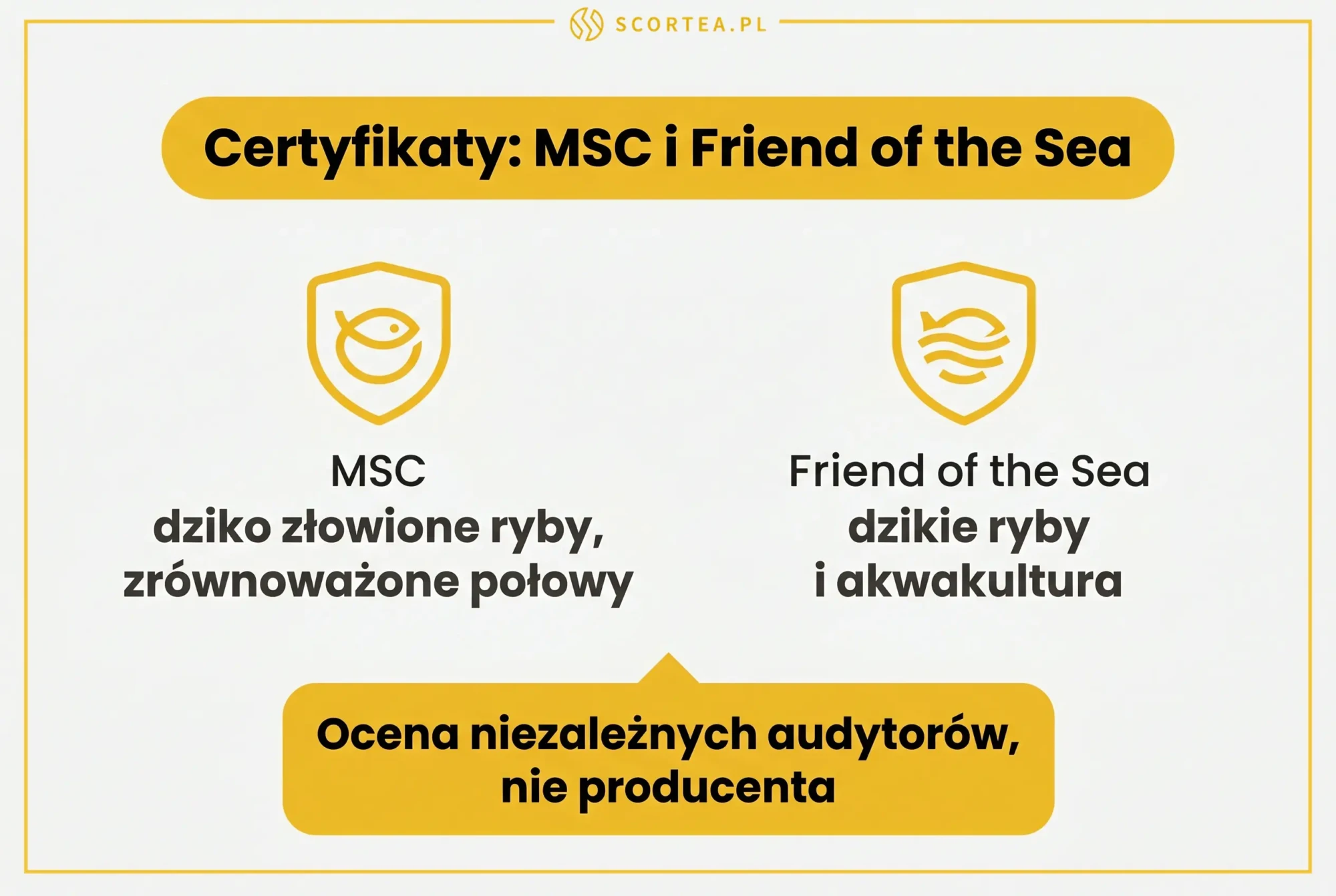 Infografika: certyfikaty MSC i Friend of the Sea dla kolagenu morskiego – ocena niezależnych audytorów