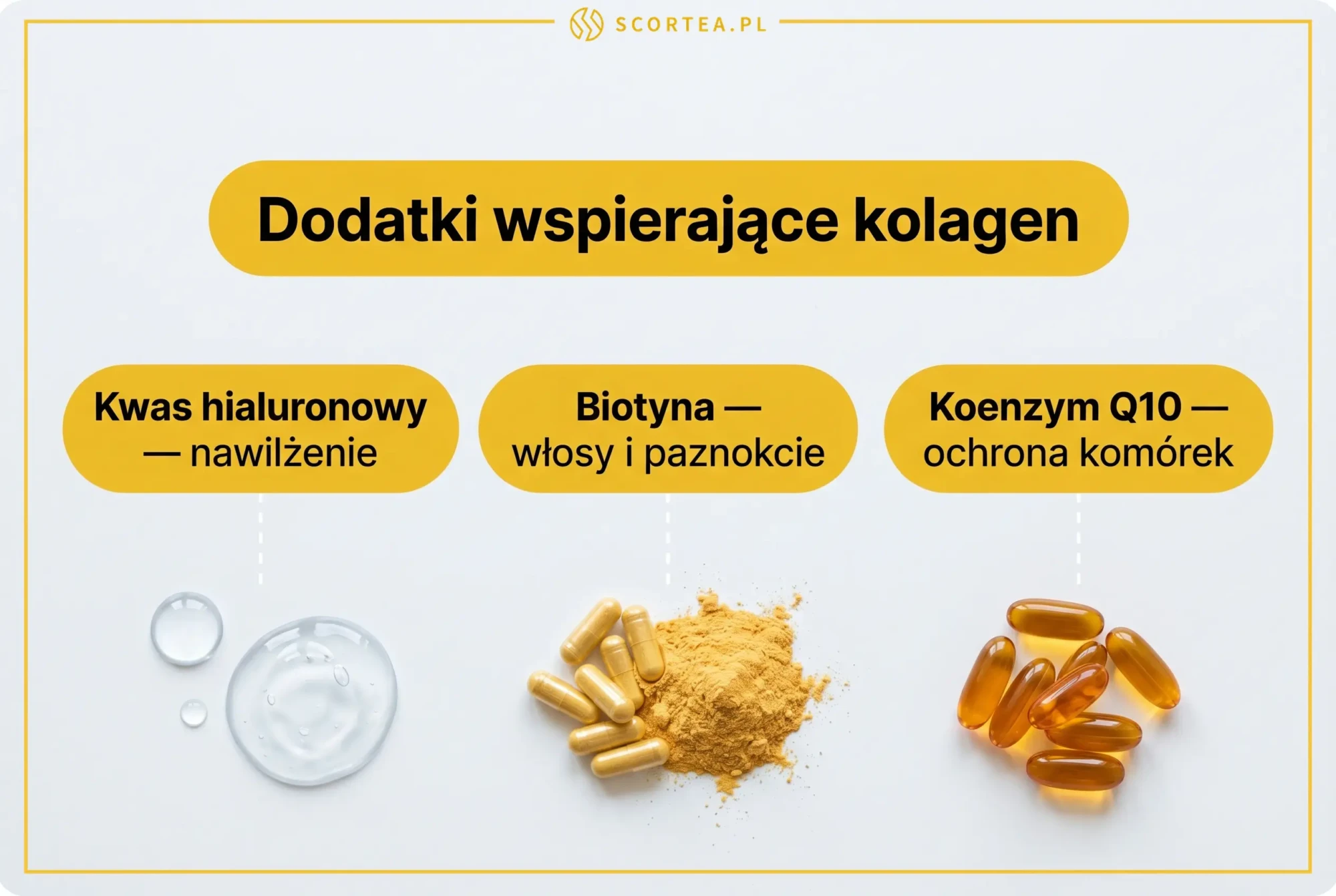 Infografika: dodatki wspierające kolagen – kwas hialuronowy, biotyna i koenzym Q10
