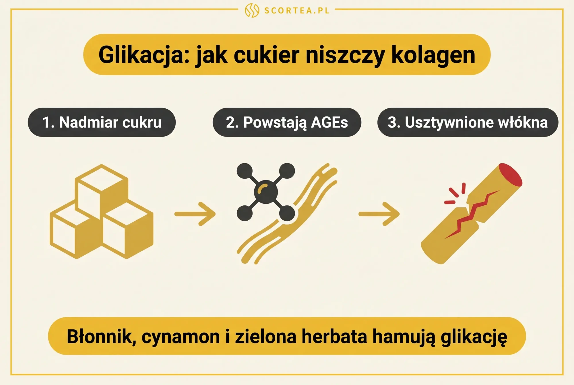 Infografika: glikacja — jak cukier niszczy kolagen przez powstawanie AGEs i usztywnienie włókien