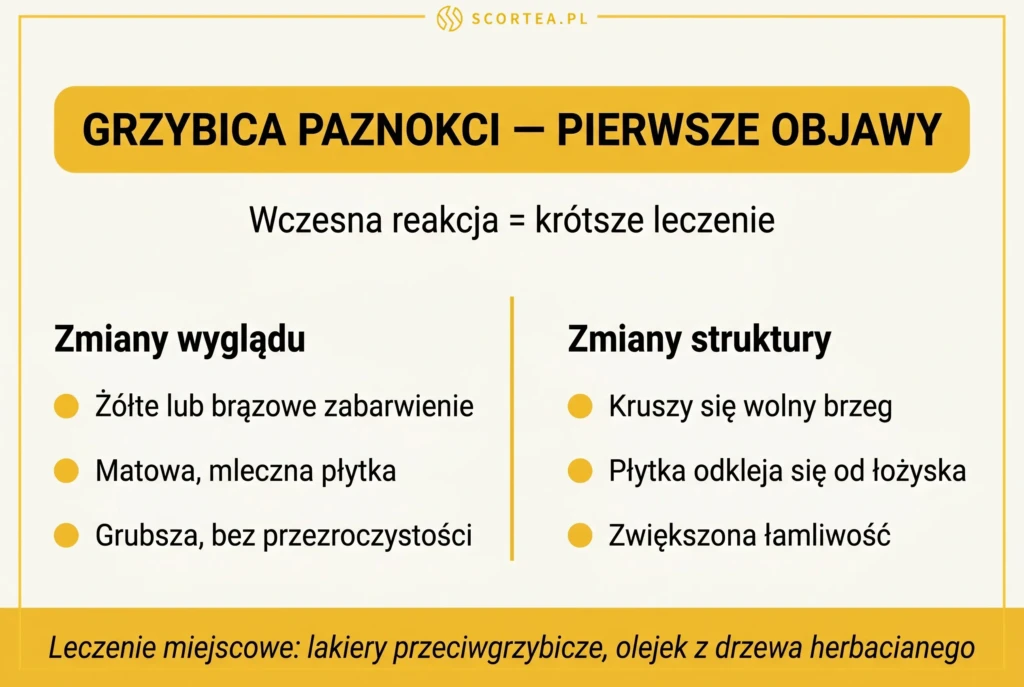 Infografika pierwsze objawy grzybicy paznokci podzielone na dwie kategorie – Zmiany wyglądu: żółte lub brązowe zabarwienie, matowa mleczna płytka, grubsza bez przezroczystości; Zmiany struktury: kruszy się wolny brzeg, płytka odkleja od łożyska, zwiększona łamliwość. Leczenie miejscowe: lakiery przeciwgrzybicze, olejek z drzewa herbacianego.

