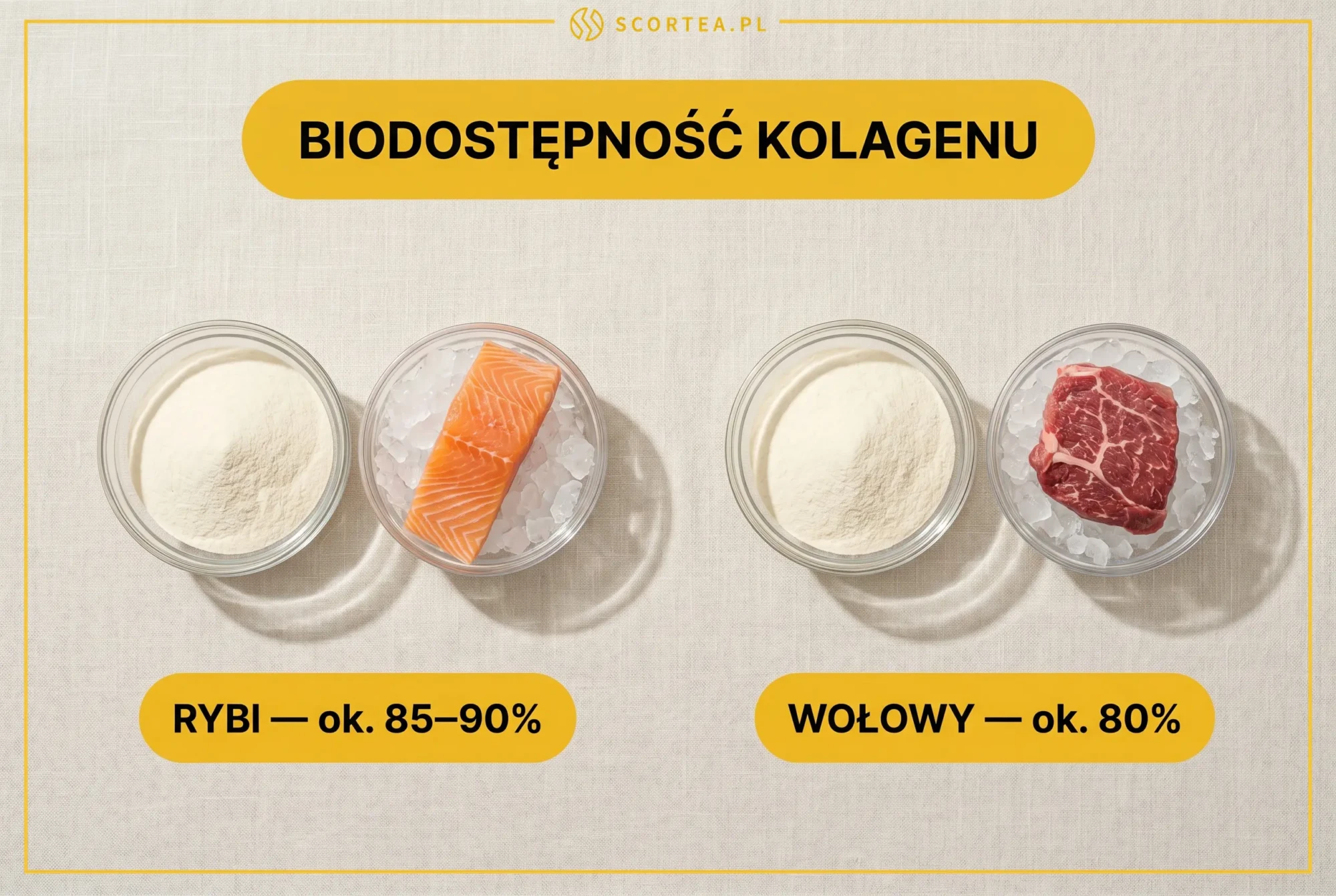 Biodostępność kolagenu rybiego ok. 85–90% vs wołowego ok. 80%