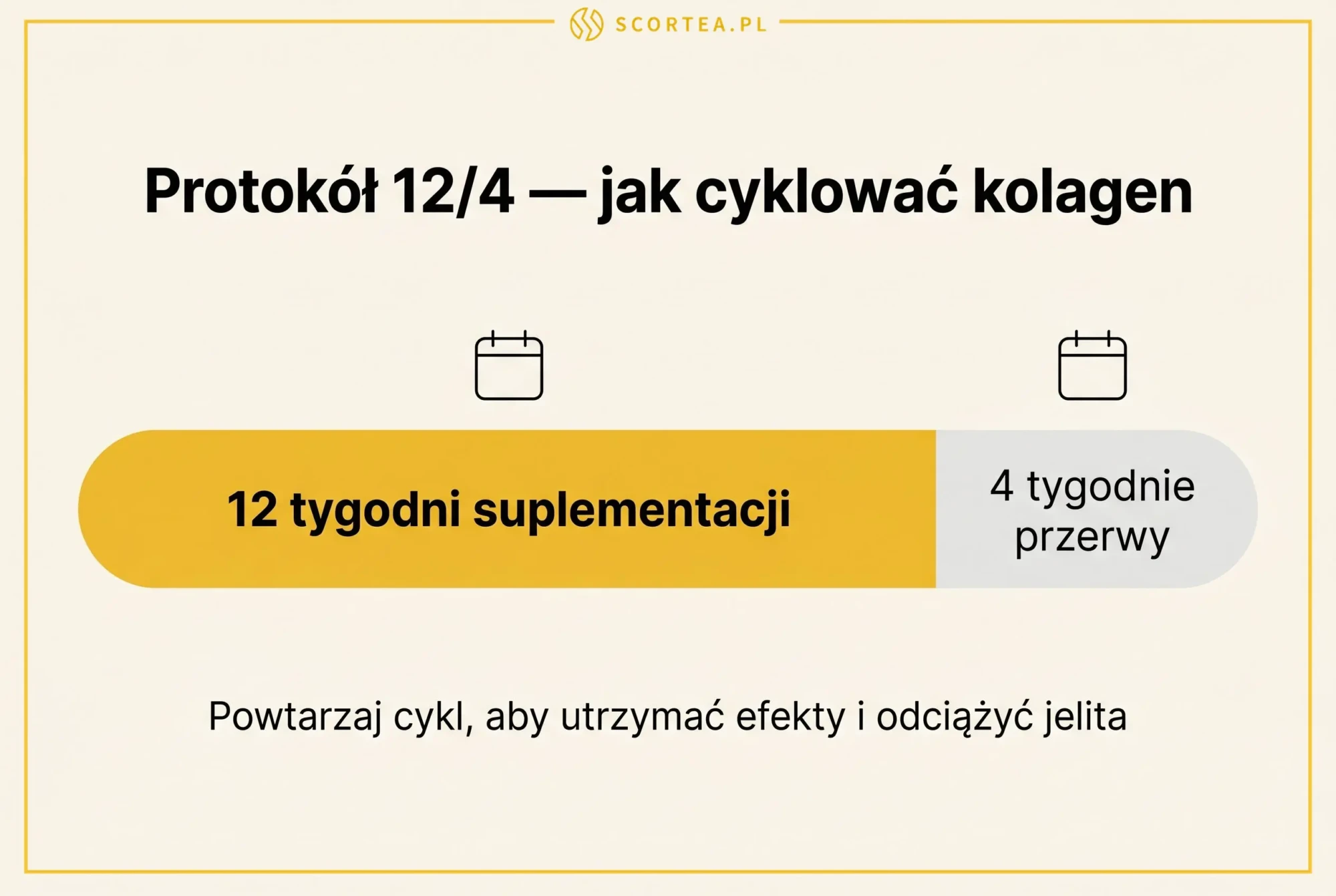 Infografika: protokol 12/4 suplementacji kolagenu - 12 tygodni przyjmowania i 4 tygodnie przerwy