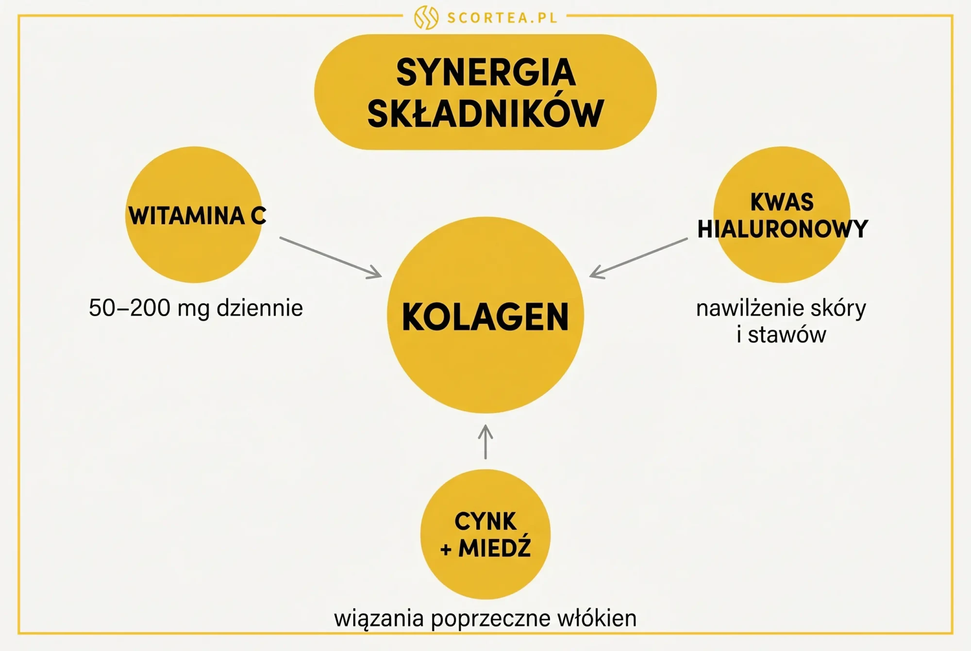 Synergia składników: kolagen z witaminą C, kwasem hialuronowym, cynkiem i miedzią