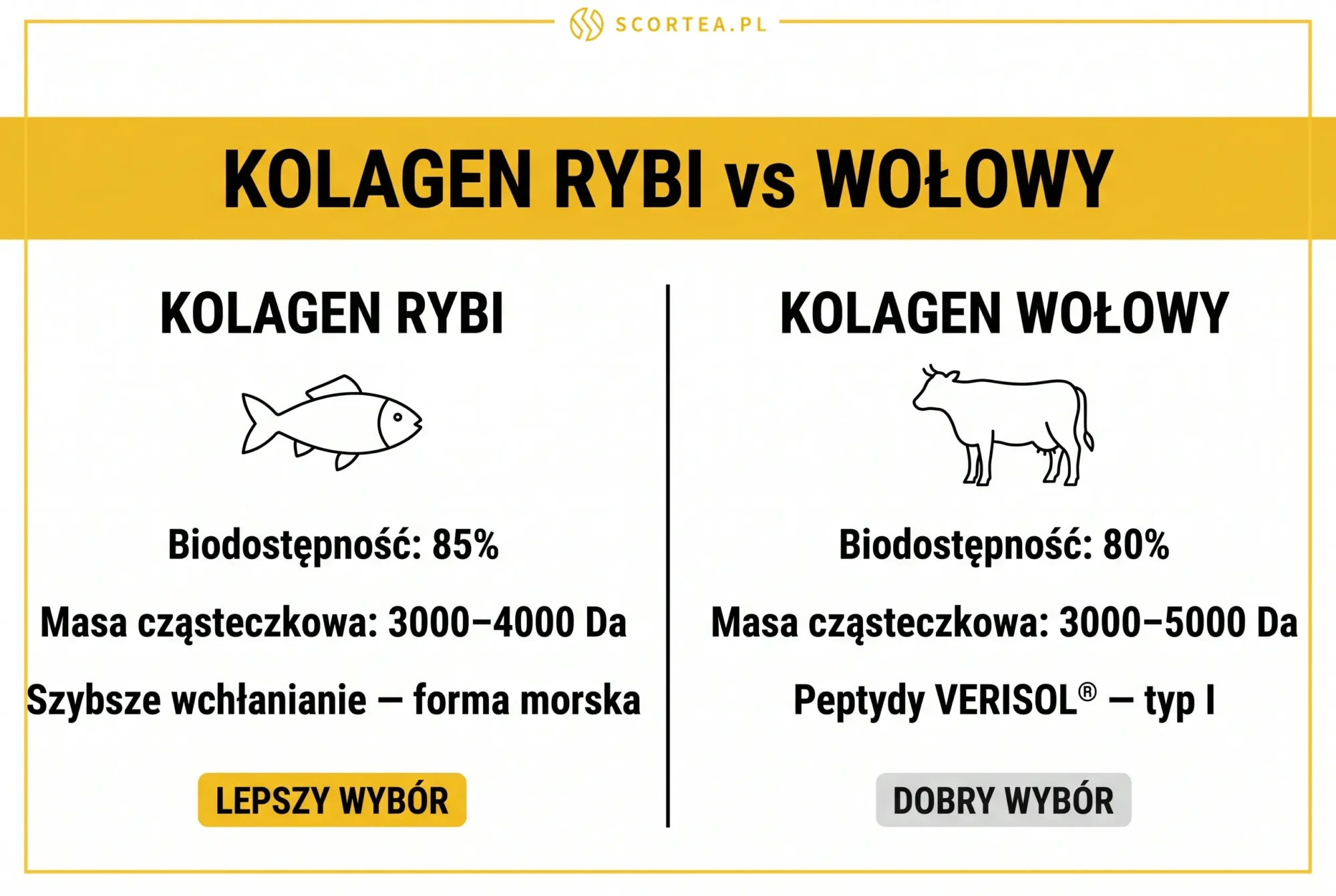Porównanie kolagenu rybiego i wołowego na włosy - biodostępność 85% vs 80% i masa cząsteczkowa