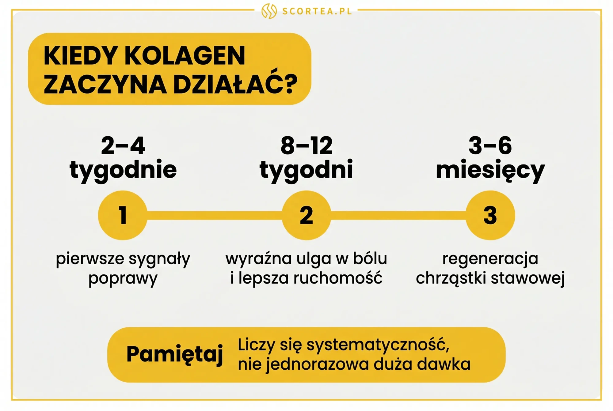 Infografika z osią czasu efektów kolagenu na stawy: pierwsze sygnały po 2-4 tygodniach, ulga po 8-12 tygodniach, regeneracja chrząstki po 3-6 miesiącach