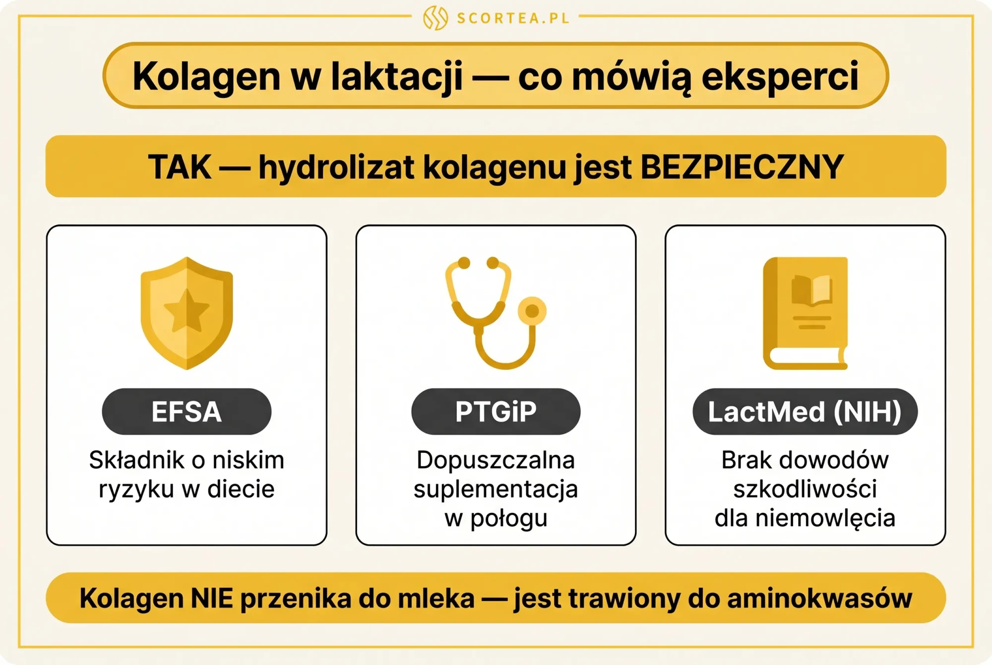 Infografika: kolagen w laktacji jest bezpieczny — stanowiska EFSA, PTGiP i LactMed