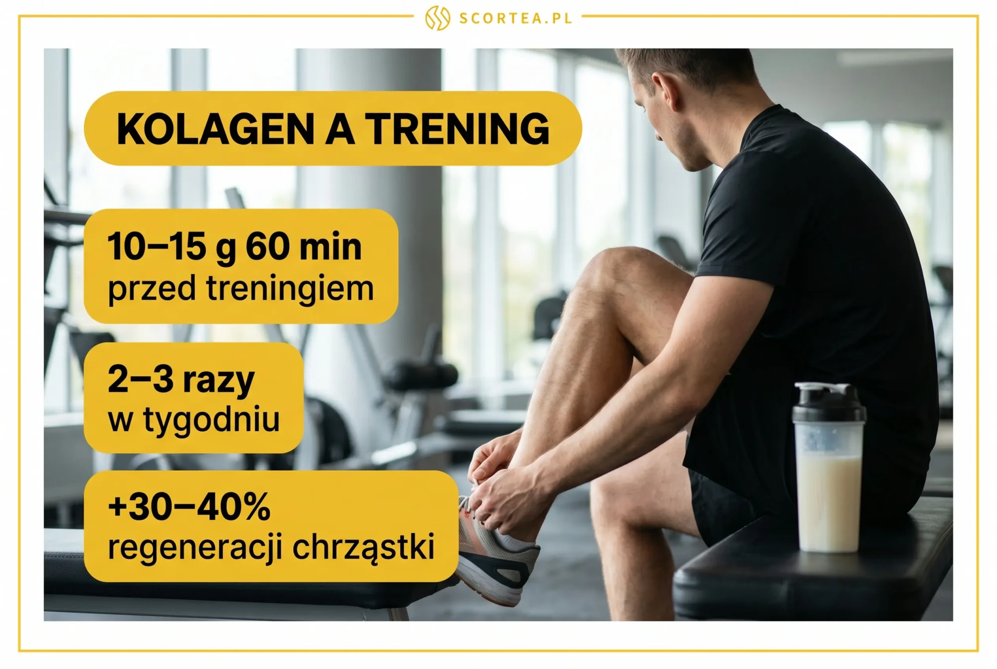 Infografika o kolagenie przed treningiem dla sportowców: 10-15 g 60 minut przed treningiem, 2-3 razy w tygodniu, do 40 procent lepsza regeneracja chrząstki