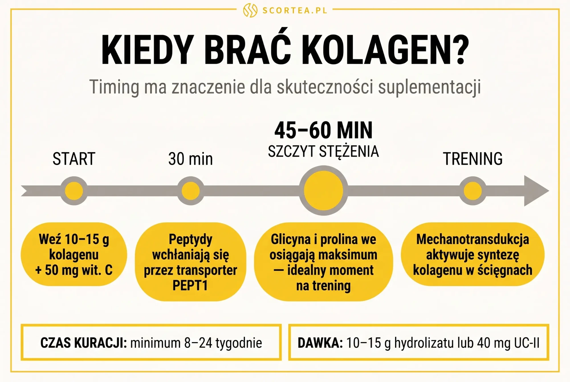 Infografika: kiedy brać kolagen - optymalny timing 45-60 minut przed treningiem, szczyt stężenia glicyny i proliny we krwi