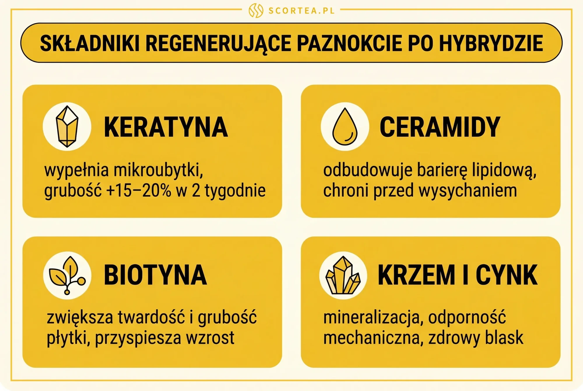 Cztery składniki regenerujące paznokcie po hybrydzie: keratyna, ceramidy, biotyna oraz krzem i cynk — działanie i efekty każdego z nich.