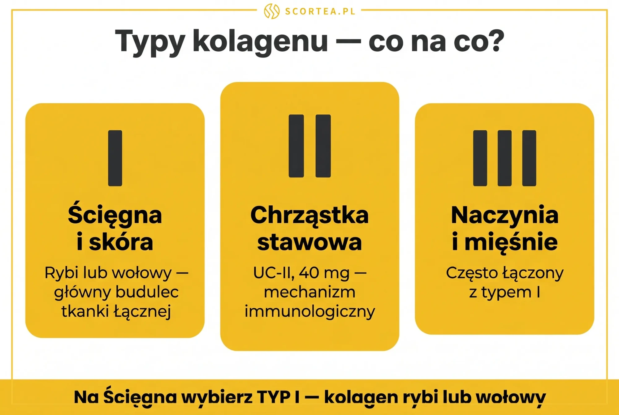 Infografika porównująca typy kolagenu: typ I na ścięgna i skórę, typ II na chrząstkę stawową, typ III na naczynia i mięśnie.