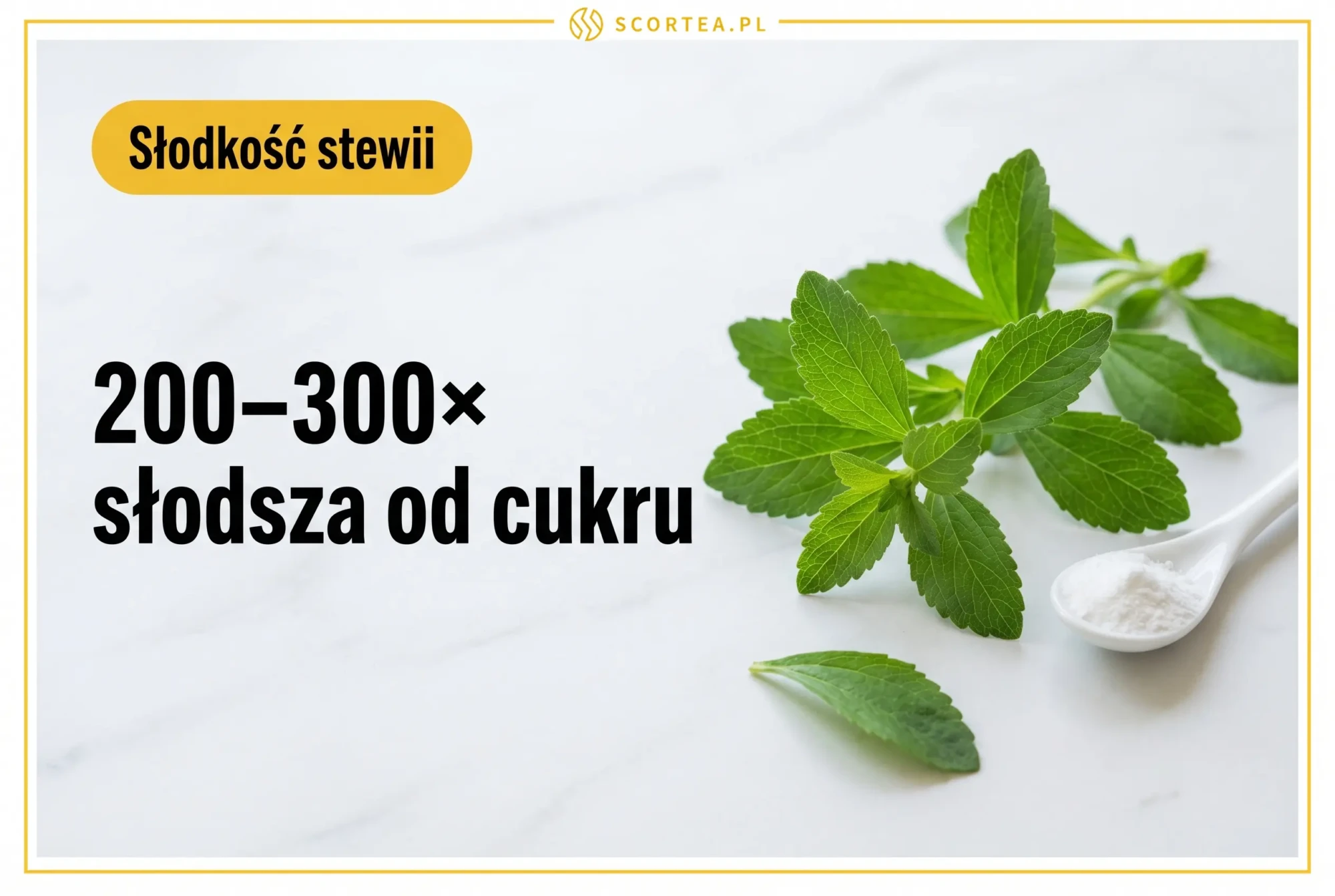Liście stewii i łyżeczka słodzika na marmurze, infografika: stewia jest 200–300× słodsza od cukru