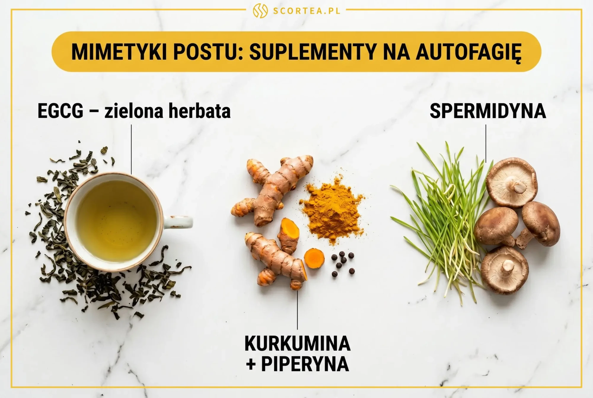 Naturalne mimetyki postu wspierające autofagię: zielona herbata z EGCG, kurkuma z piperyną i kiełki pszenicy ze spermidyną