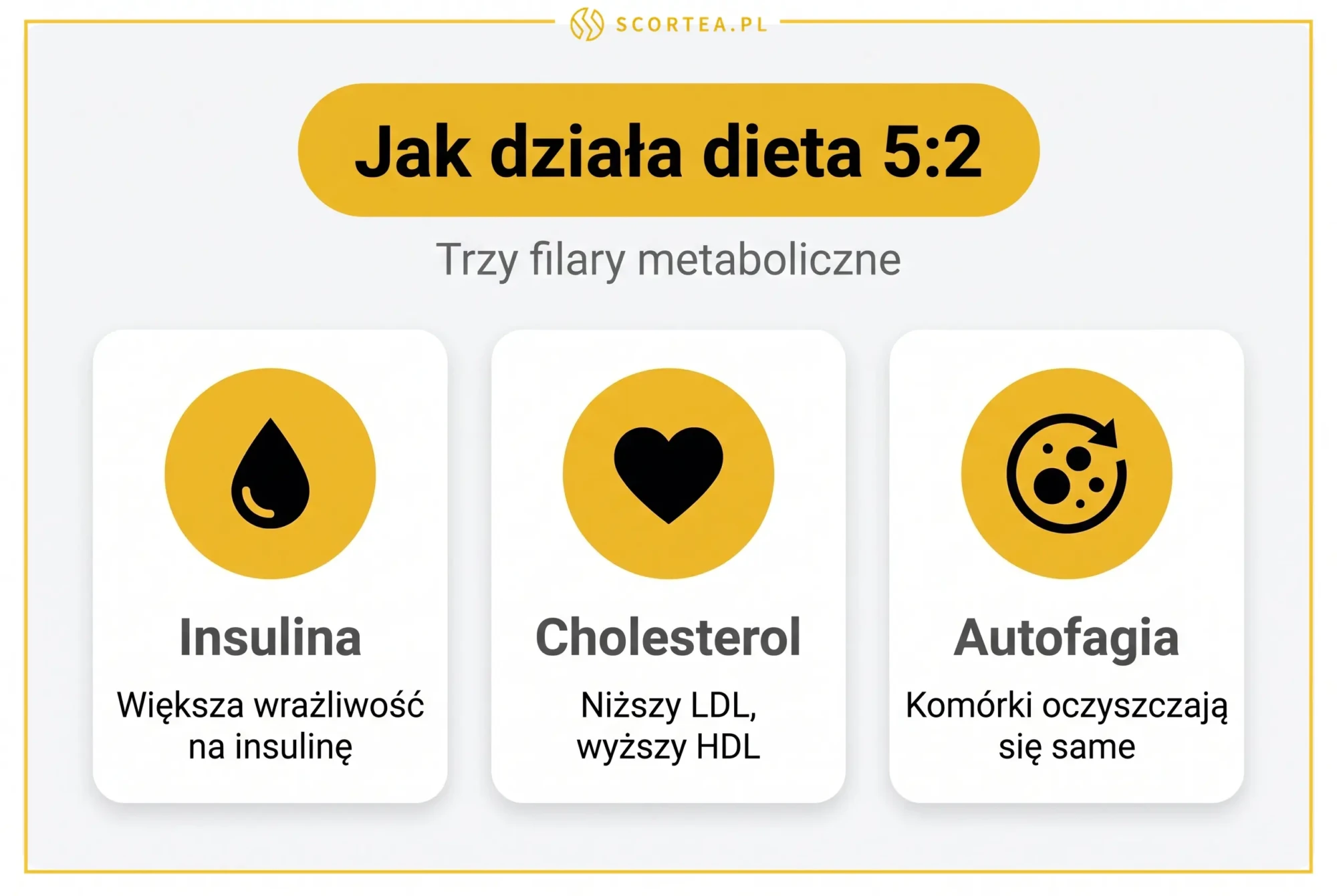 Jak działa dieta 5:2: trzy filary metaboliczne — większa wrażliwość na insulinę, niższy LDL i wyższy HDL oraz autofagia komórek — infografika Scortea.